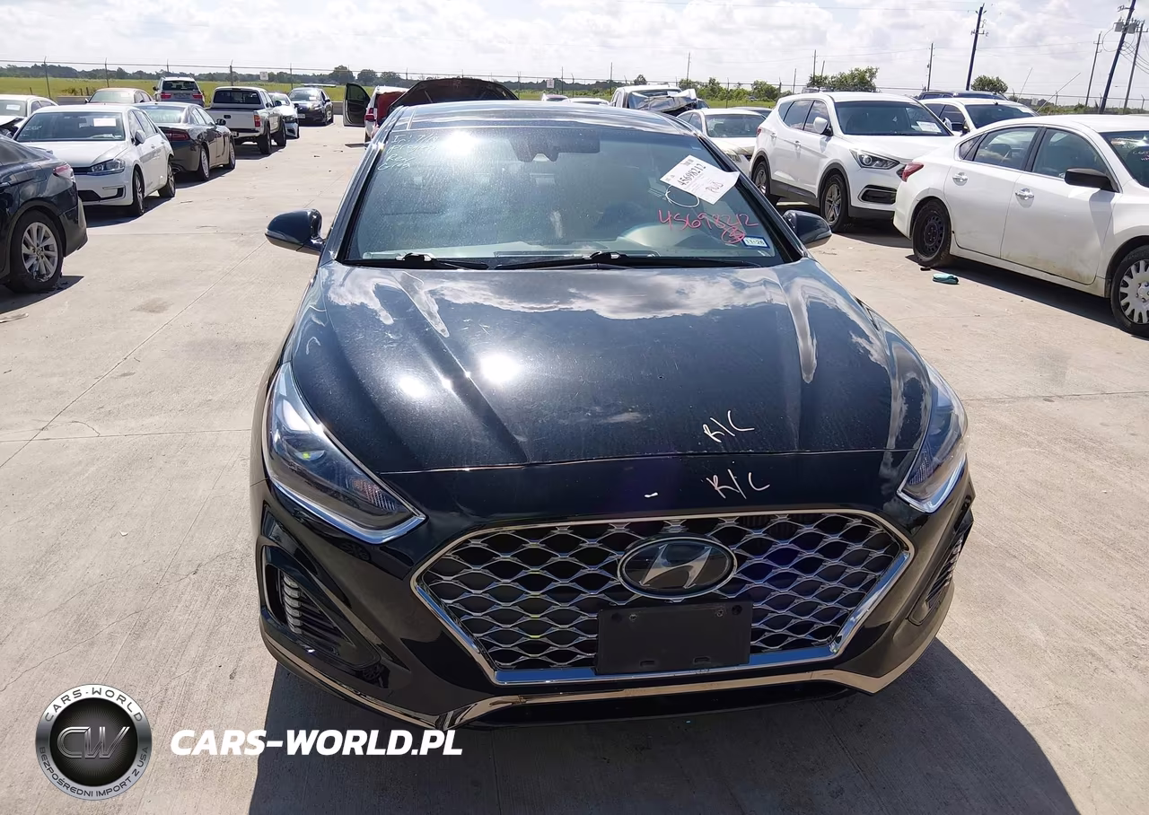 2019 Hyundai Sonata Limited 2.0T VIN:5NPE34AB3KH731323 - 12