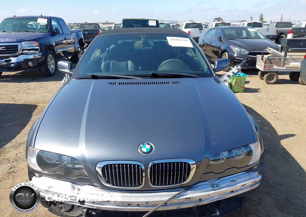 2002 BMW 3 Series 325Ci VIN:WBABS33462PG88261 - 13