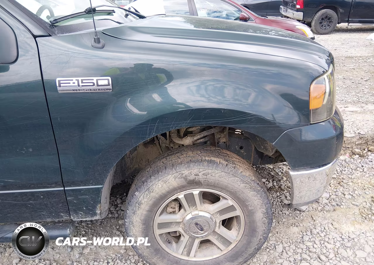 2006 Ford F-150 Fx4-Lariat-Xl-Xlt VIN:1FTPX14576NB44887 - 20