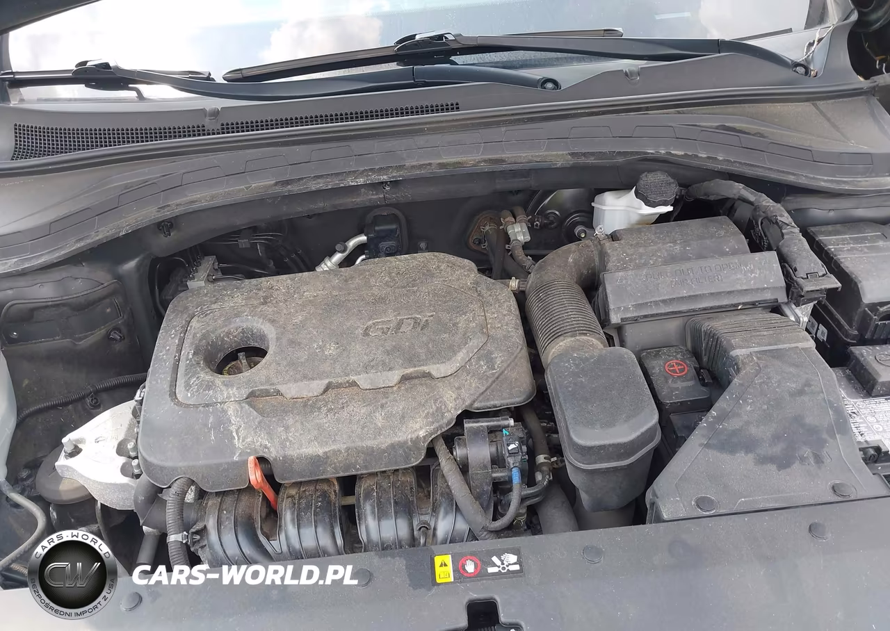 2020 Hyundai Santa Fe Limited VIN:5NMS5CAD8LH208564 - 10