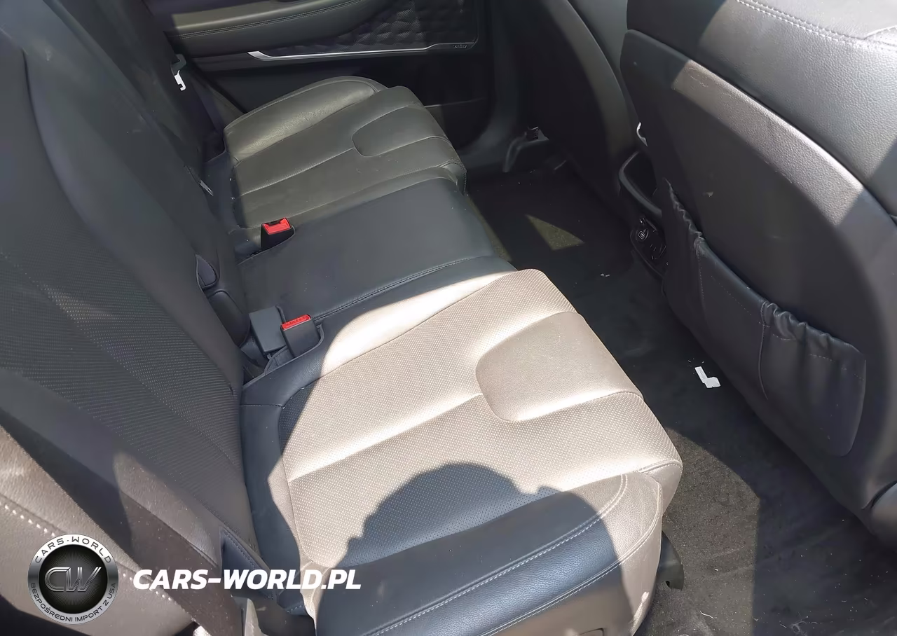 2020 Hyundai Santa Fe Limited VIN:5NMS5CAD8LH208564 - 8