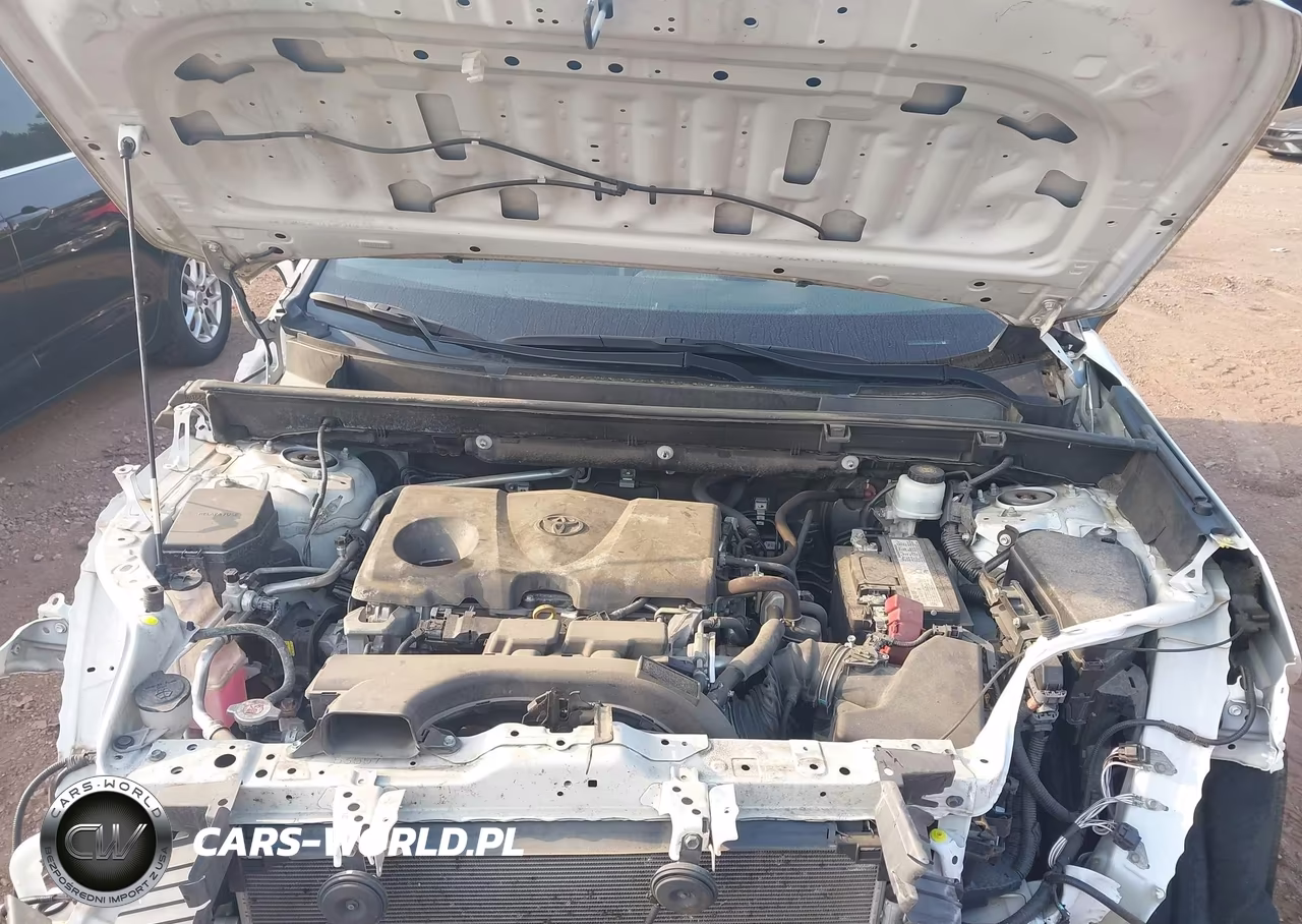2019 Toyota Rav4 Xle Premium VIN:2T3C1RFVXKC011346 - 10