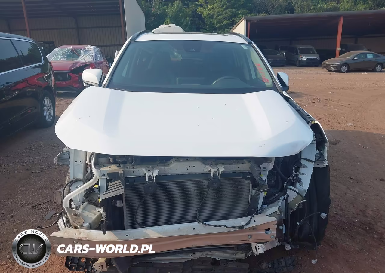 2019 Toyota Rav4 Xle Premium VIN:2T3C1RFVXKC011346 - 12