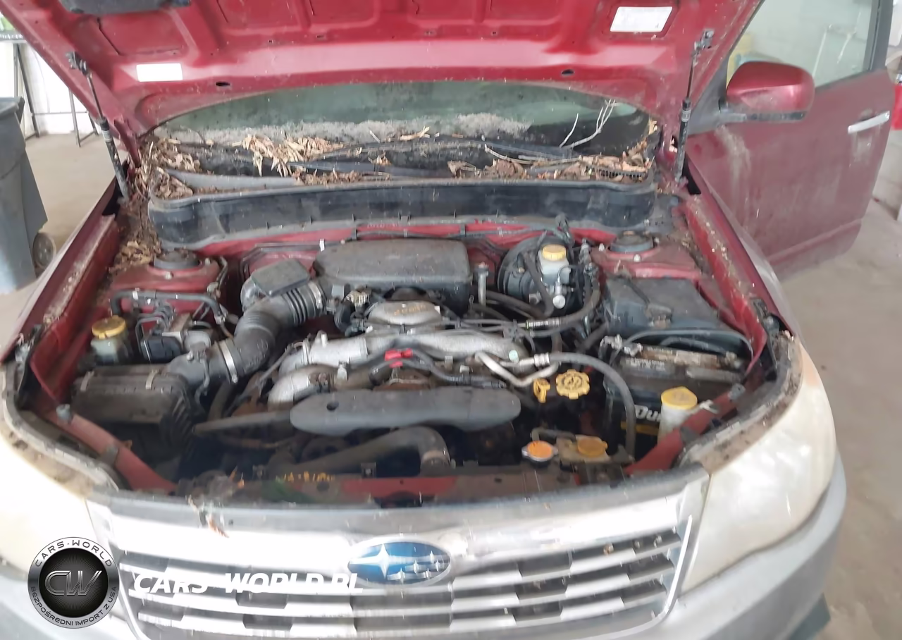2010 Subaru Forester 2.5X Premium VIN:JF2SH6CC1AH719725 - 10