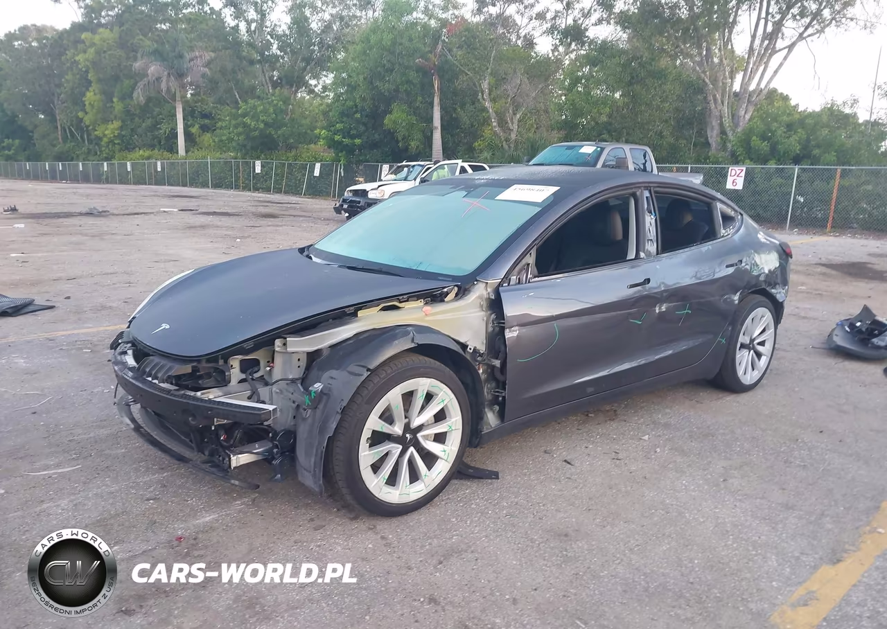 2023 Tesla Model 3 Rear-Wheel Drive VIN:5YJ3E1EA9PF662807 - 2