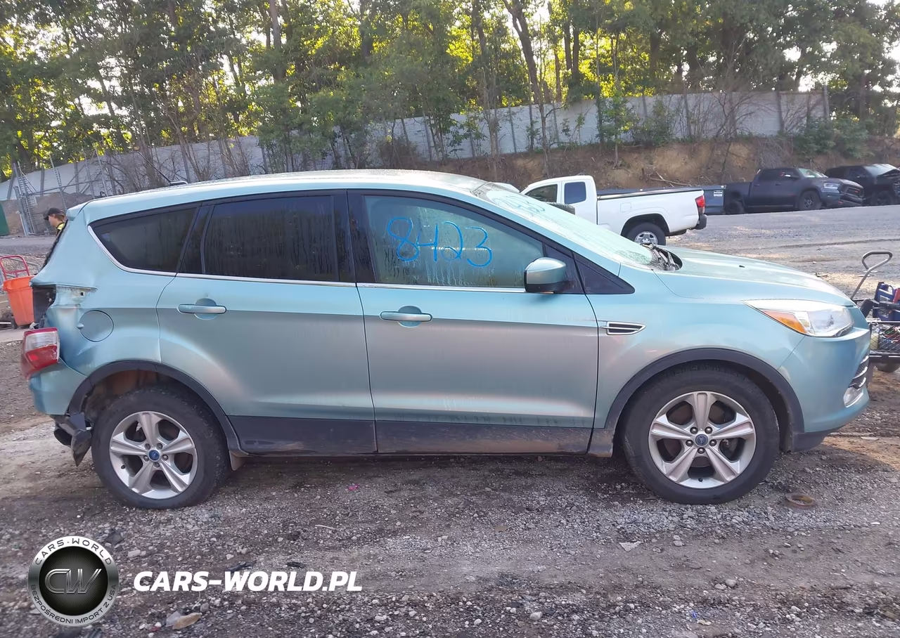 2013 Ford Escape Se VIN:1FMCU9GX2DUA39000 - 13