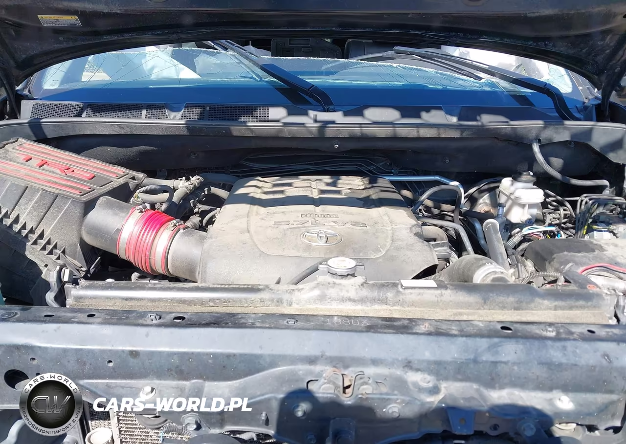 2020 Toyota Sequoia Trd Pro VIN:5TDBY5G17LS176638 - 10