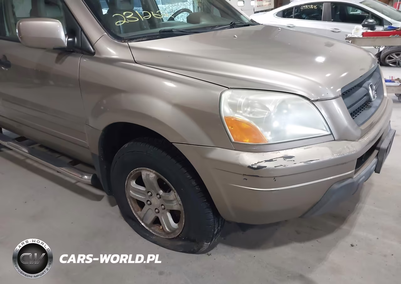 2004 Honda Pilot Ex-L VIN:2HKYF18534H614637 - 14