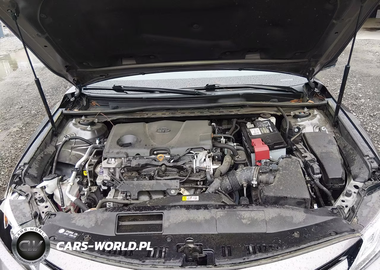 2020 Toyota Camry Xle VIN:4T1F11AK4LU954224 - 10