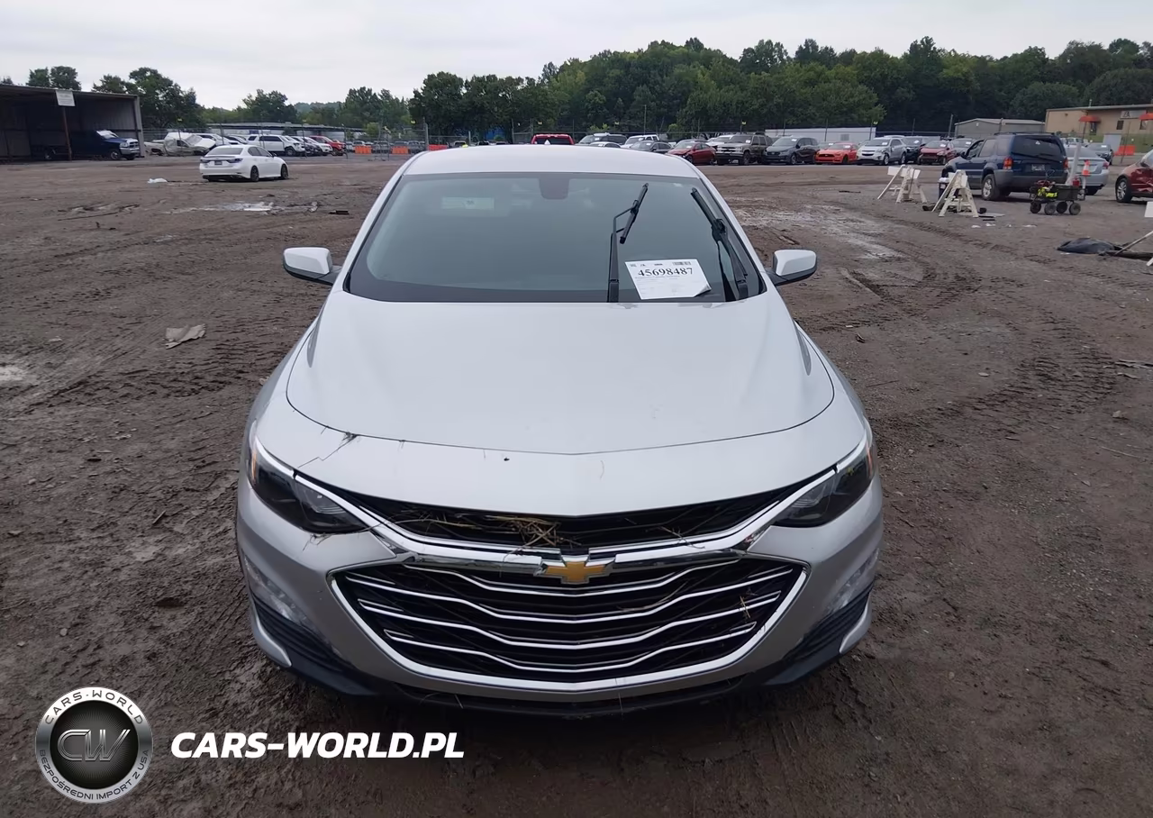 2019 Chevrolet Malibu Lt VIN:1G1ZD5ST3KF157630 - 12