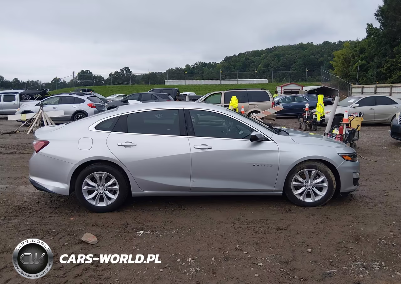 2019 Chevrolet Malibu Lt VIN:1G1ZD5ST3KF157630 - 13