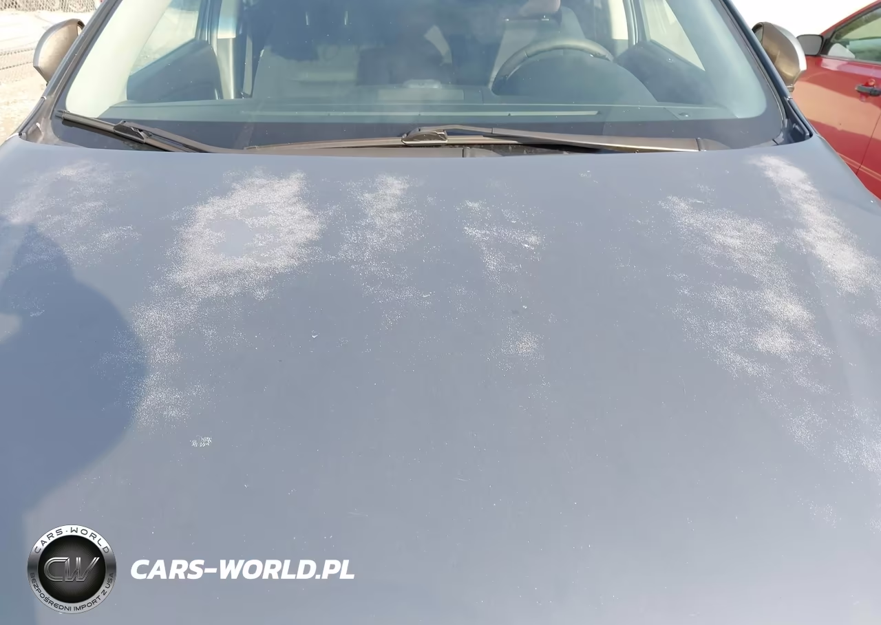2010 Mazda Cx-9 Sport VIN:JM3TB2MA2A0209576 - 12