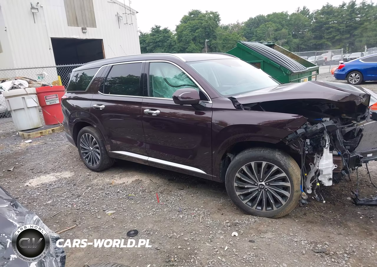 2024 Hyundai Palisade Calligraphy VIN:KM8R7DGE0RU656468 - 13