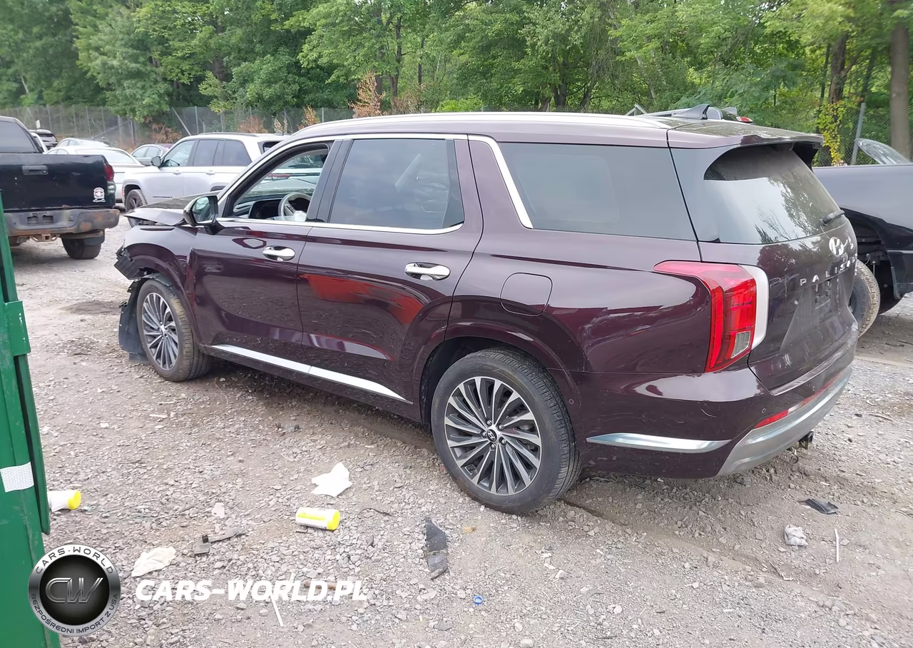 2024 Hyundai Palisade Calligraphy VIN:KM8R7DGE0RU656468 - 14