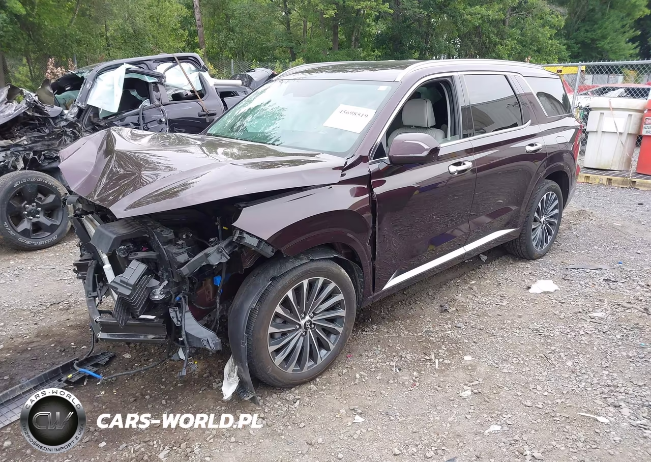 2024 Hyundai Palisade Calligraphy VIN:KM8R7DGE0RU656468 - 2
