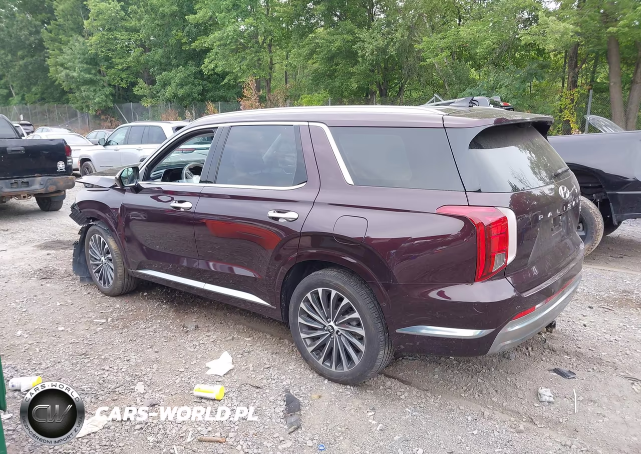 2024 Hyundai Palisade Calligraphy VIN:KM8R7DGE0RU656468 - 3