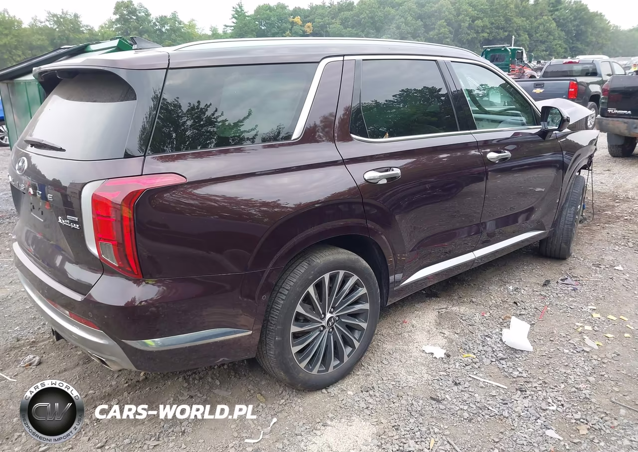 2024 Hyundai Palisade Calligraphy VIN:KM8R7DGE0RU656468 - 4