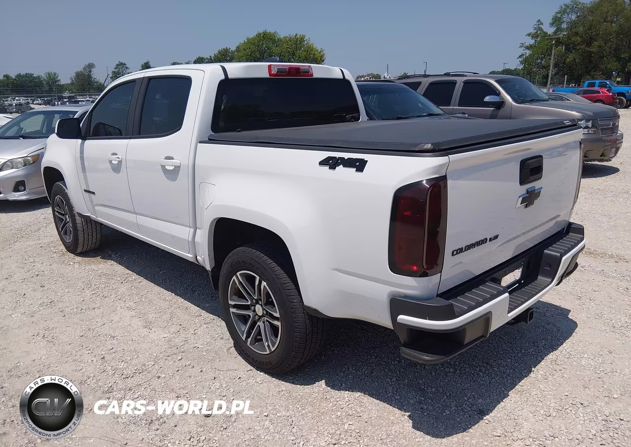 2019 Chevrolet Colorado Wt VIN:1GCGTBEN6K1191796 - 3