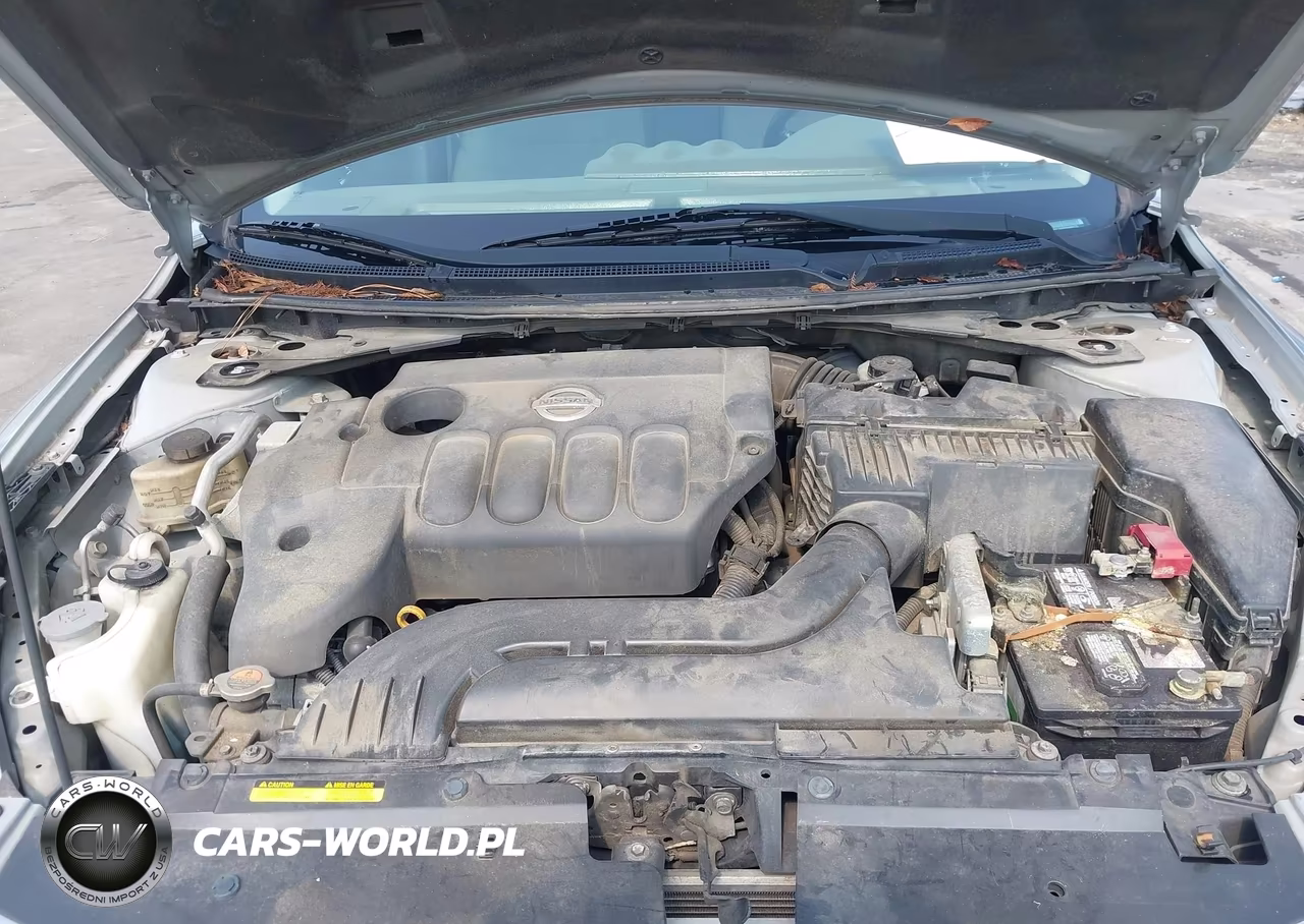 2010 Nissan Altima 2.5 S VIN:1N4AL2AP7AN489123 - 10
