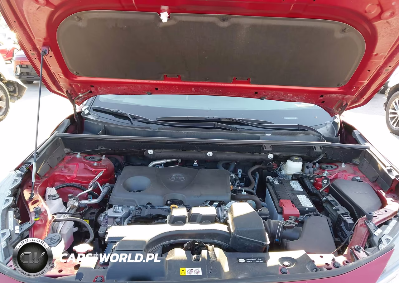 2025 Toyota Rav4 Xle VIN:2T3W1RFV9SW393378 - 10