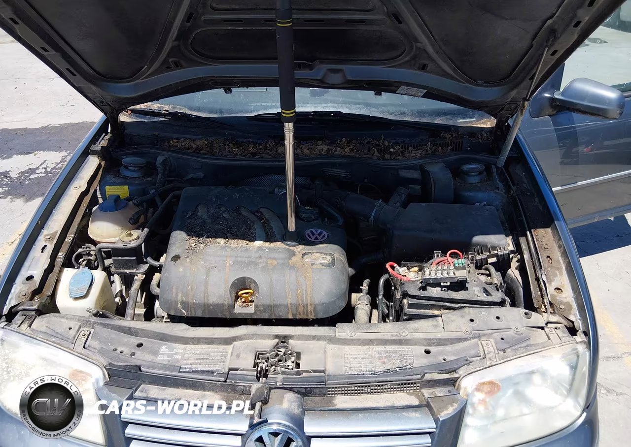 2004 Volkswagen Jetta Gl VIN:3VWRK69M34M004330 - 10