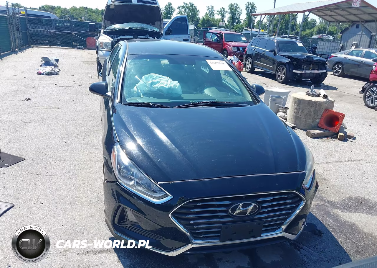 2018 Hyundai Sonata Se VIN:5NPE24AF4JH665983 - 12