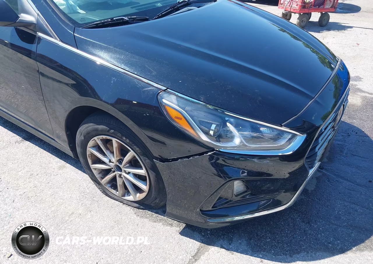 2018 Hyundai Sonata Se VIN:5NPE24AF4JH665983 - 17