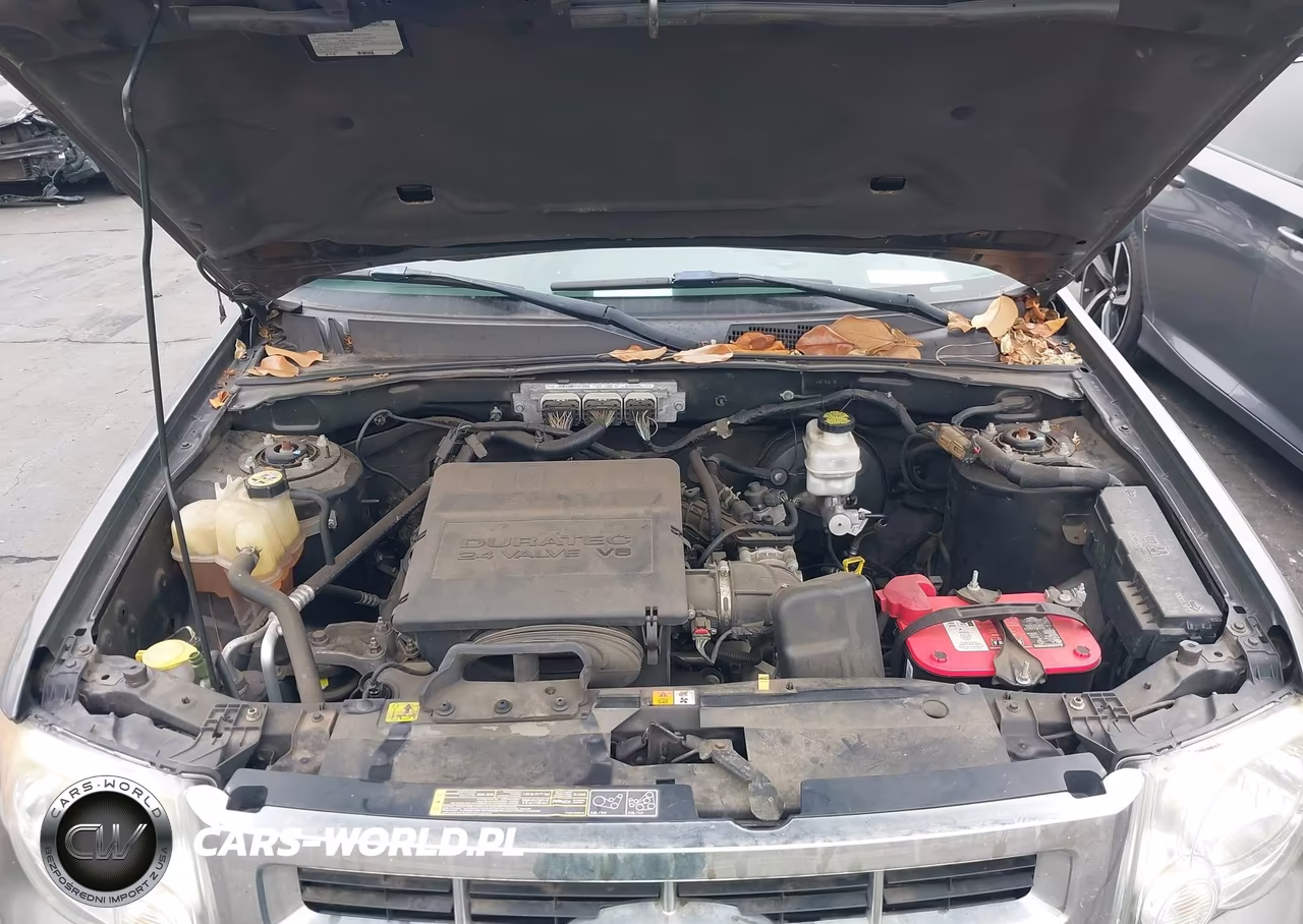 2011 Ford Escape Xlt VIN:1FMCU0DG1BKA87466 - 10
