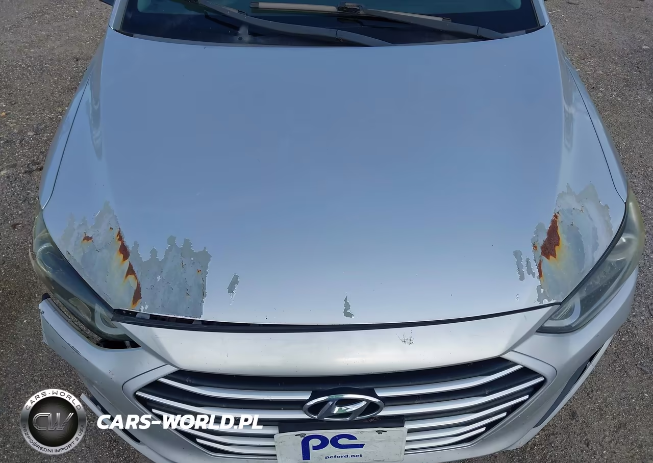 2017 Hyundai Elantra Se VIN:5NPD84LF1HH159075 - 17