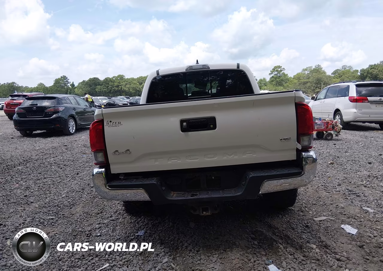 2019 Toyota Tacoma Sr5 V6 VIN:3TMCZ5AN1KM247036 - 17