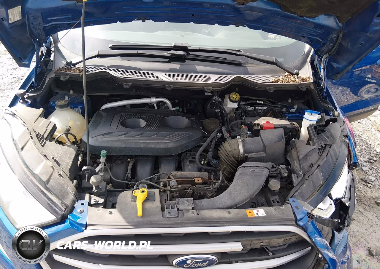 2020 Ford Ecosport Se VIN:MAJ6S3GL5LC385361 - 10
