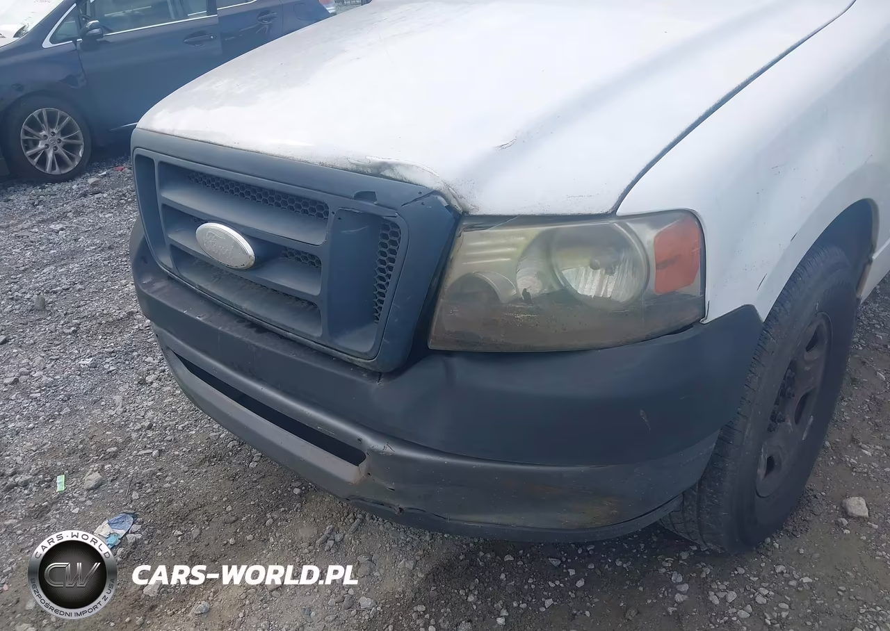 2006 Ford F-150 Stx-Xl-Xlt VIN:1FTRF12256KC01920 - 12