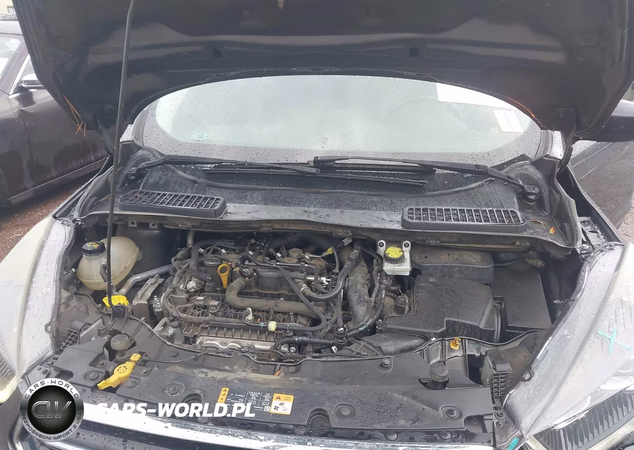 2019 Ford Escape Se VIN:1FMCU0GD8KUA87437 - 10