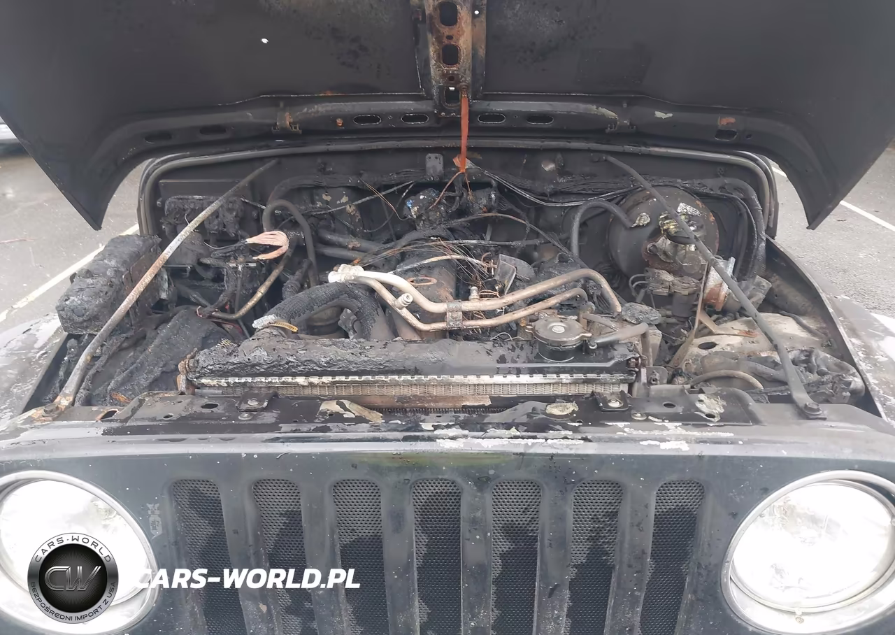 2005 Jeep Wrangler Rubicon VIN:1J4FA69S35P305788 - 10