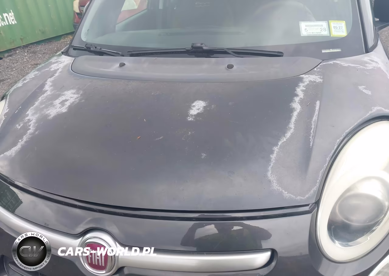 2014 Fiat 500L Trekking VIN:ZFBCFADH0EZ017808 - 6