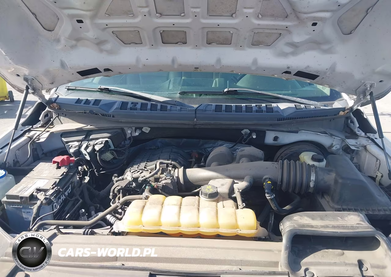 2019 Ford F-150 Xl VIN:1FTEX1CB1KFB50008 - 10