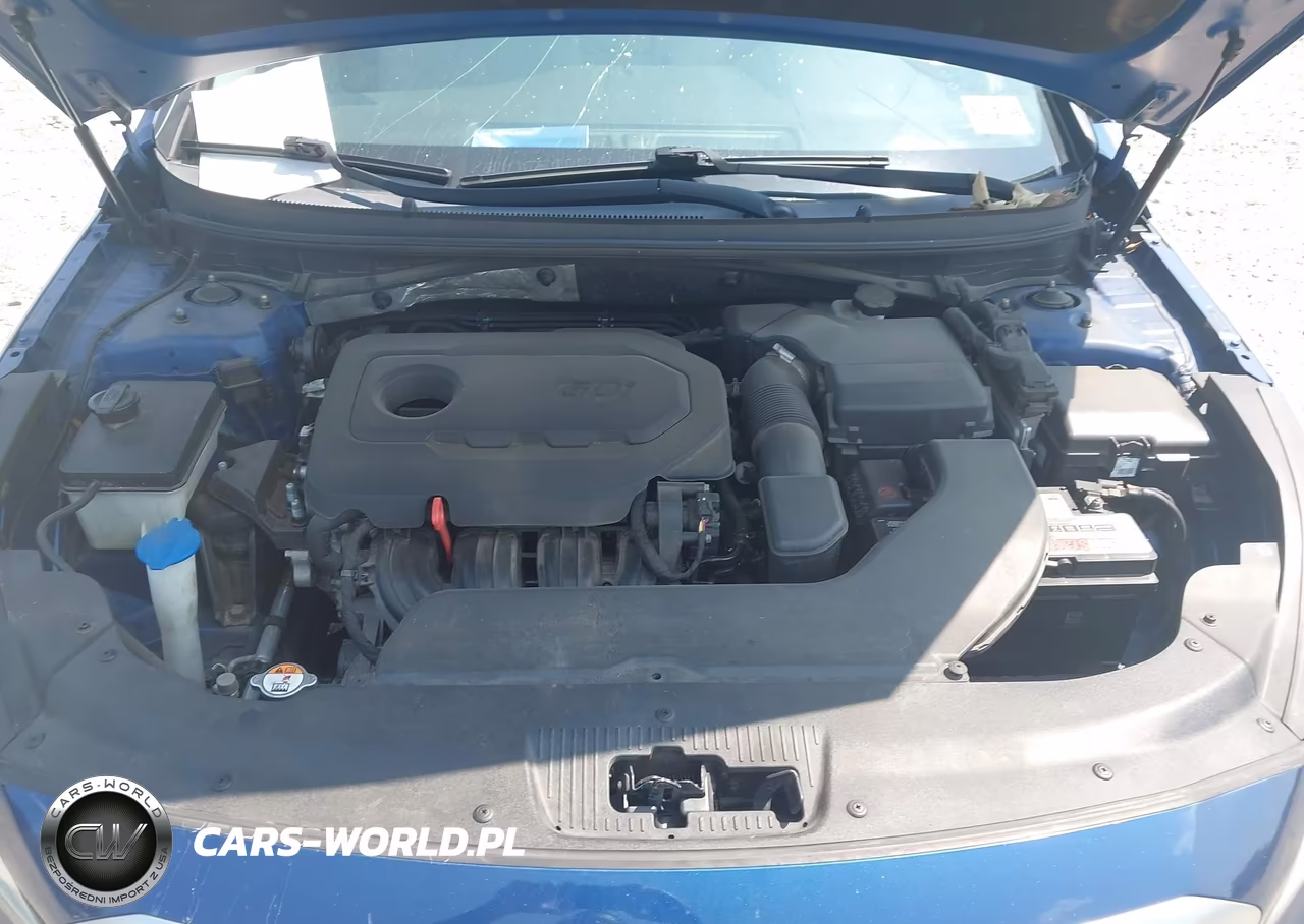 2015 Hyundai Sonata Se VIN:5NPE24AF0FH220857 - 10