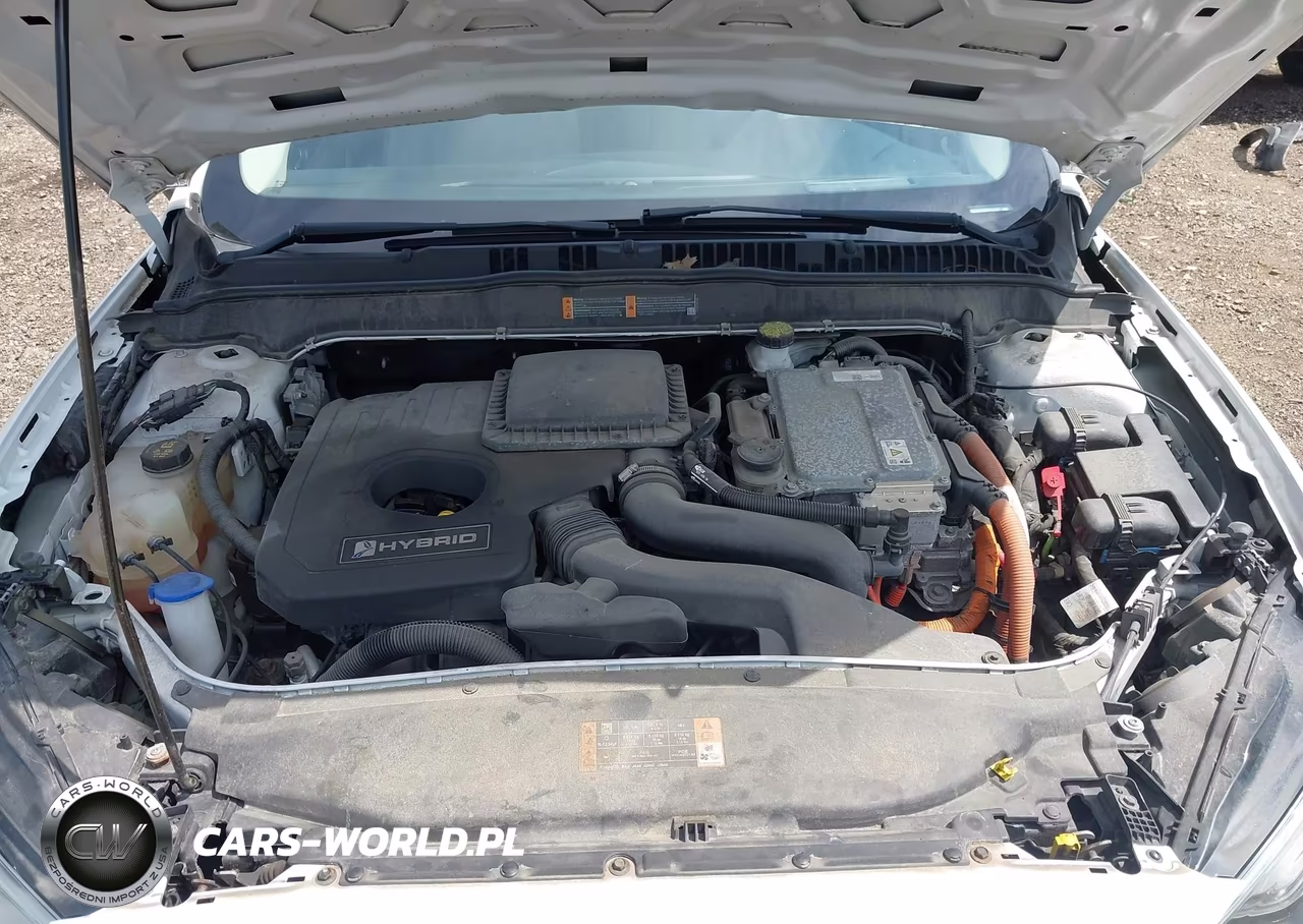 2019 Ford Fusion Hybrid Se VIN:3FA6P0LU4KR124446 - 10