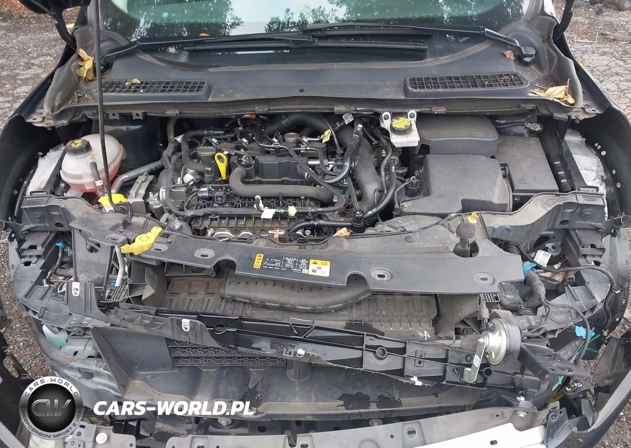2019 Ford Escape Se VIN:1FMCU0GDXKUB74689 - 10