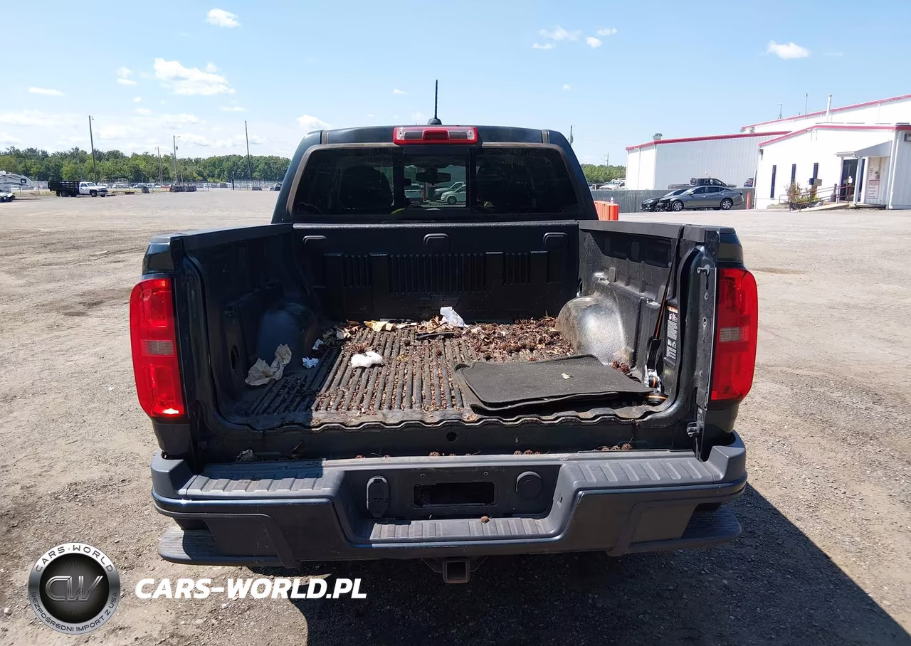 2017 Chevrolet Colorado 2Wd Lt VIN:1GCGSCEN4H1292305 - 16