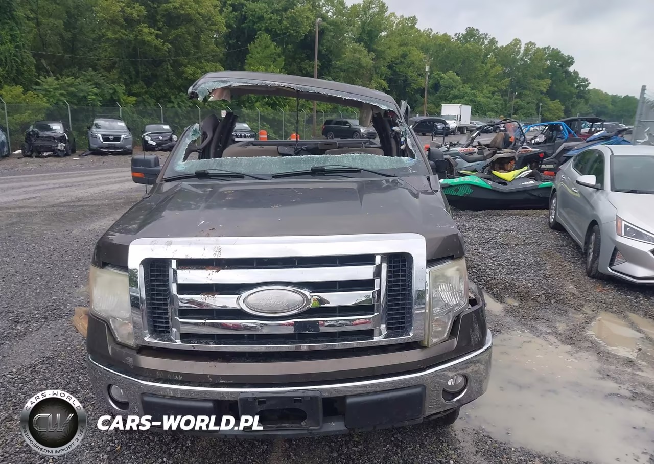 2009 Ford F-150 VIN:1FTRF12WX9KB58134 - 11