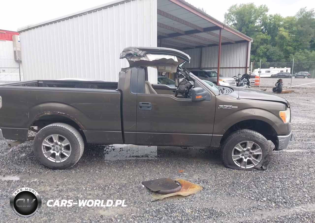 2009 Ford F-150 VIN:1FTRF12WX9KB58134 - 12