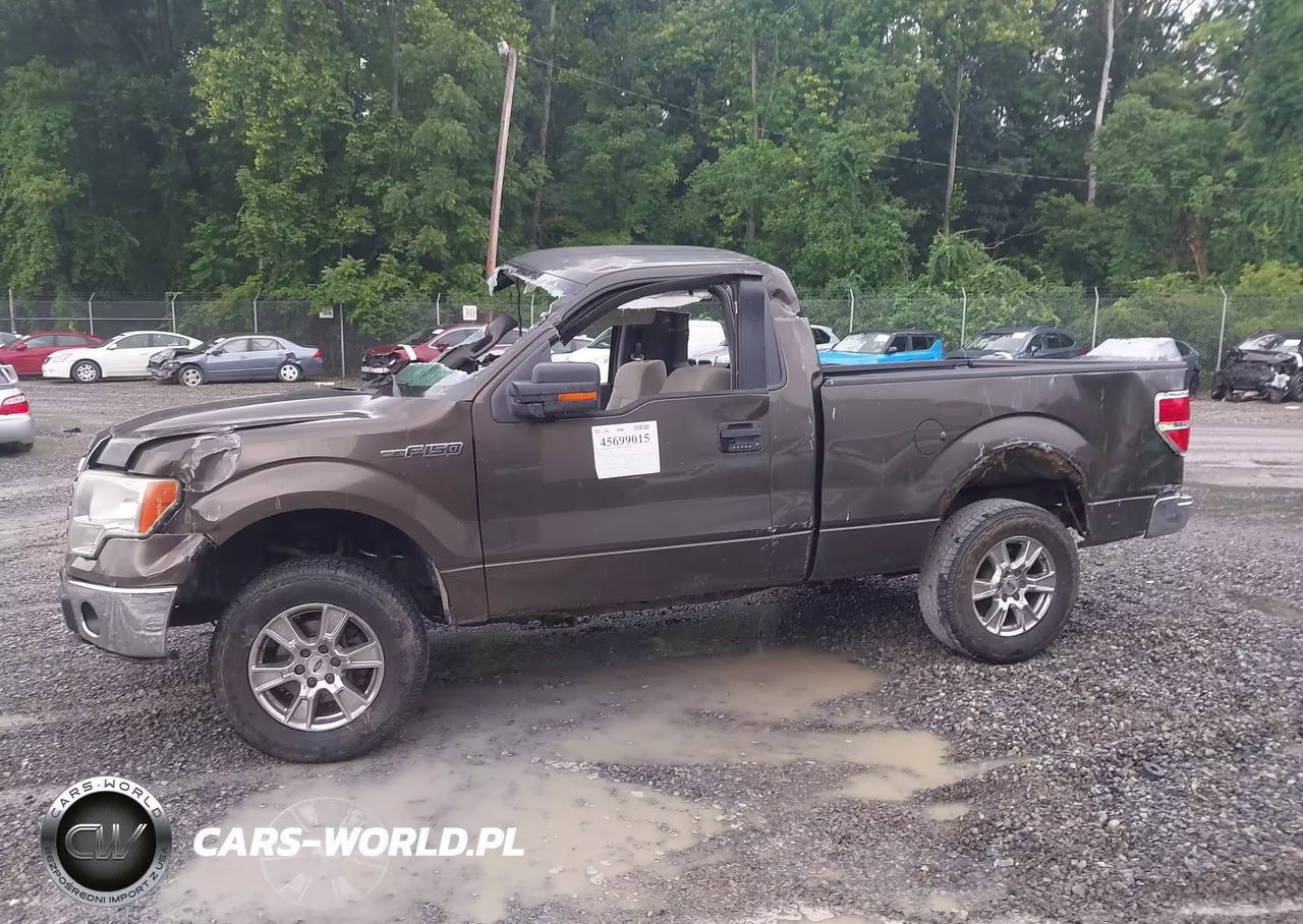 2009 Ford F-150 VIN:1FTRF12WX9KB58134 - 13