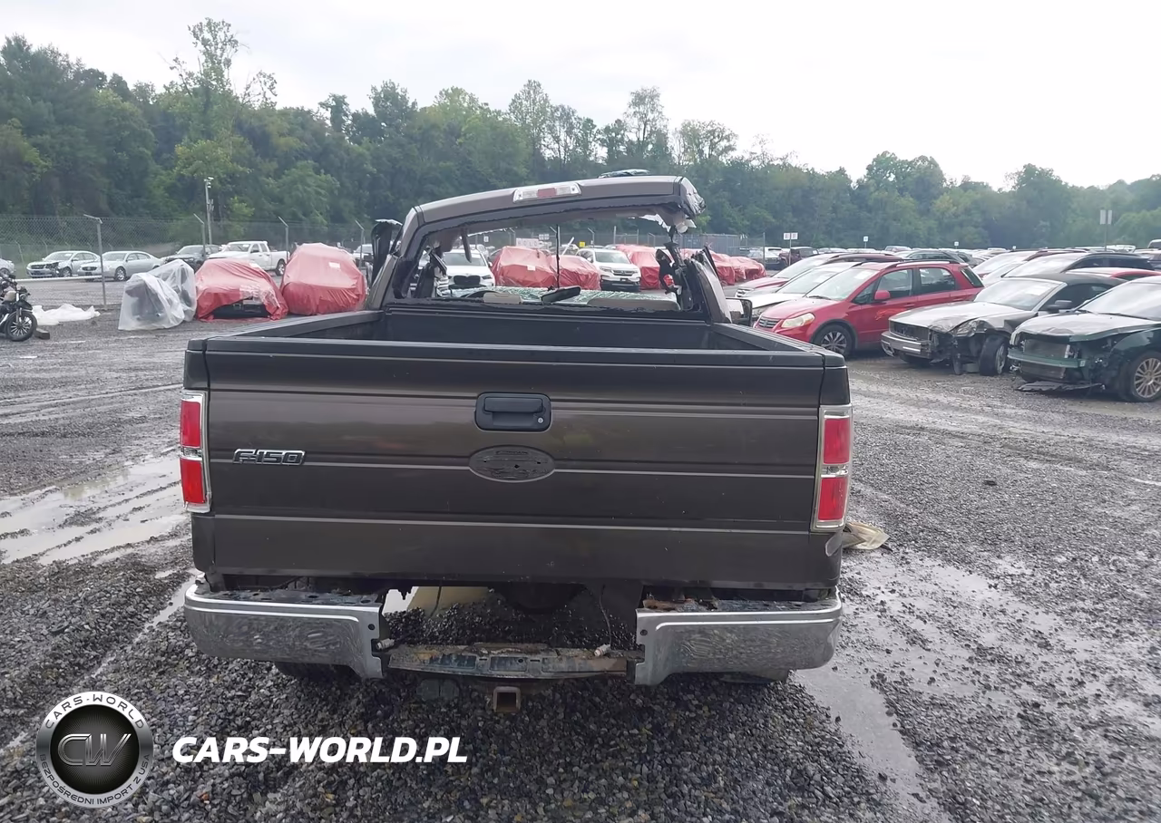 2009 Ford F-150 VIN:1FTRF12WX9KB58134 - 15