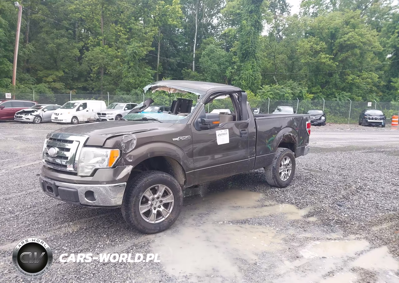 2009 Ford F-150 VIN:1FTRF12WX9KB58134 - 2
