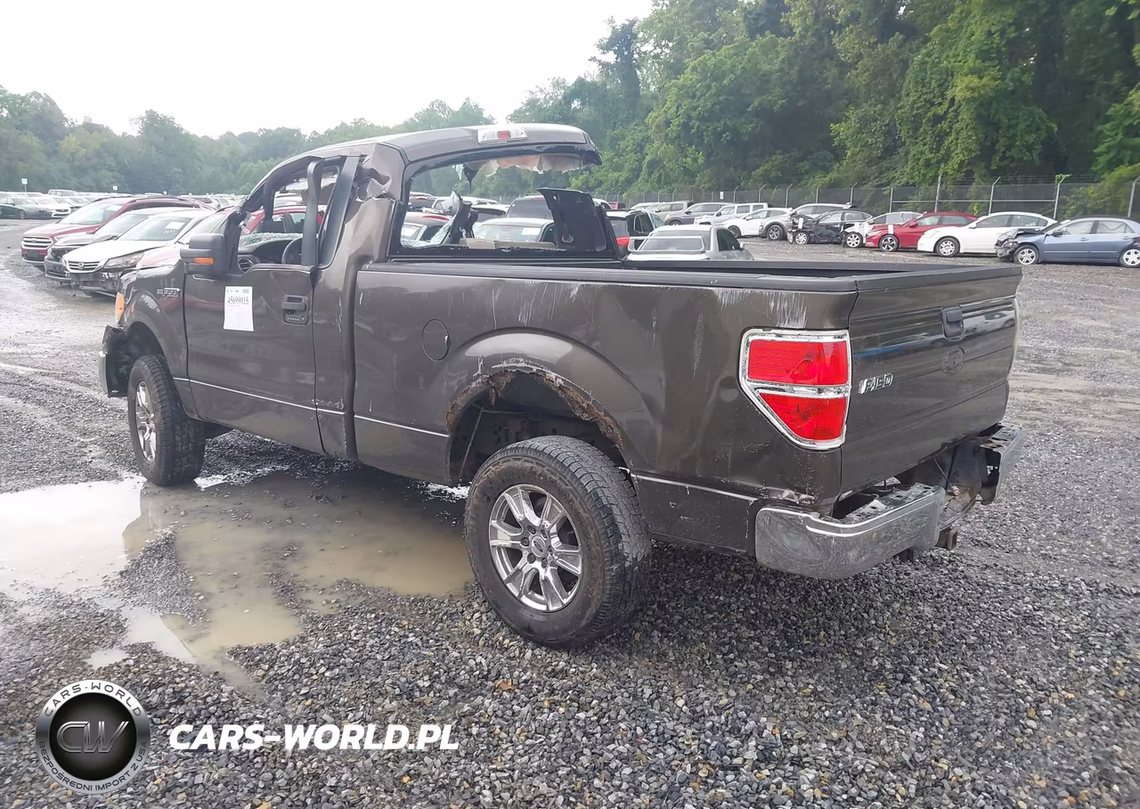 2009 Ford F-150 VIN:1FTRF12WX9KB58134 - 3