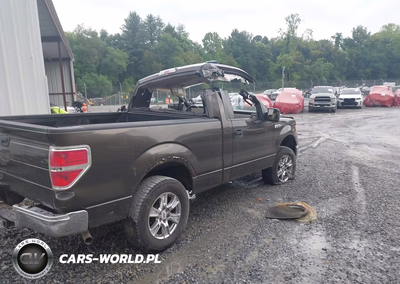 2009 Ford F-150 VIN:1FTRF12WX9KB58134 - 4