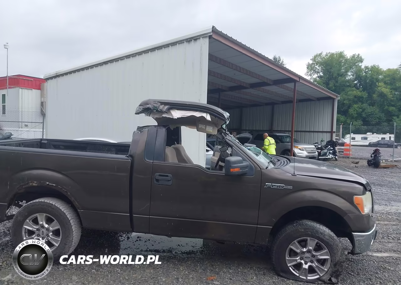 2009 Ford F-150 VIN:1FTRF12WX9KB58134 - 6