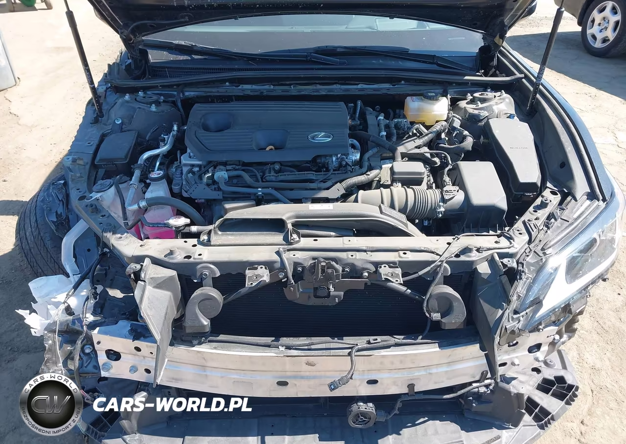 2024 Lexus Es 300H VIN:58ADA1C10RU047841 - 10