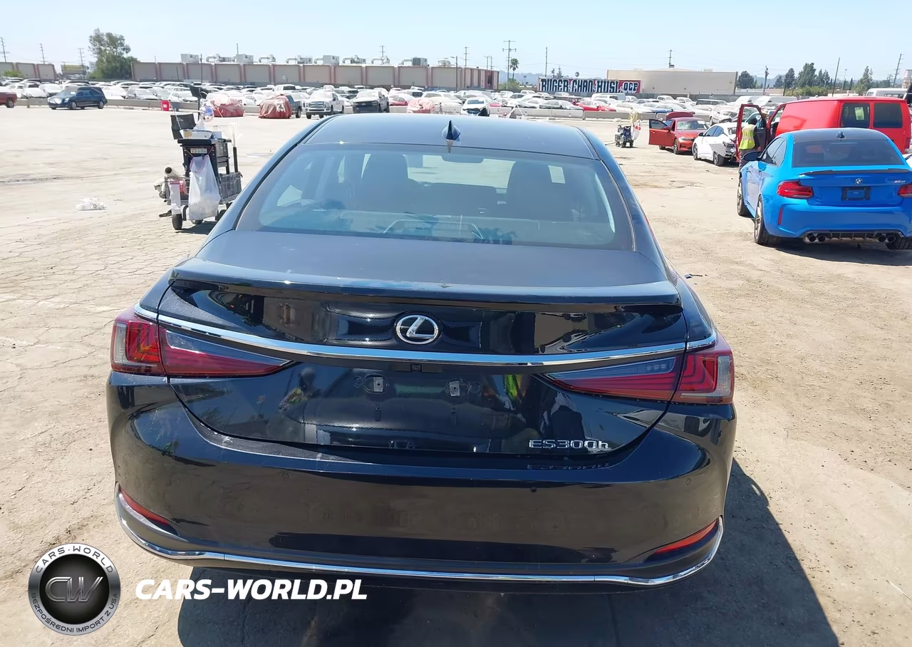2024 Lexus Es 300H VIN:58ADA1C10RU047841 - 17